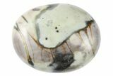 Polished Zebra Jasper Stone Pocket Stones - Photo 3